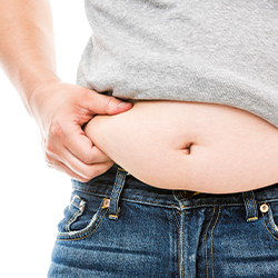 por que se acumula grasa abdominal - clinica dual